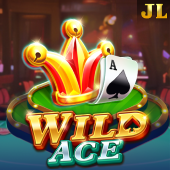 Big Win Login Wild Ace slot
